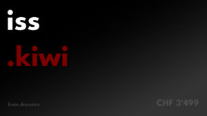 iss.kiwi für Projekte und Websites, die sich auf die Verarbeitung von Kiwi fokussieren. Gesundheitsblogs, gesund und vitaminreich leben usw.